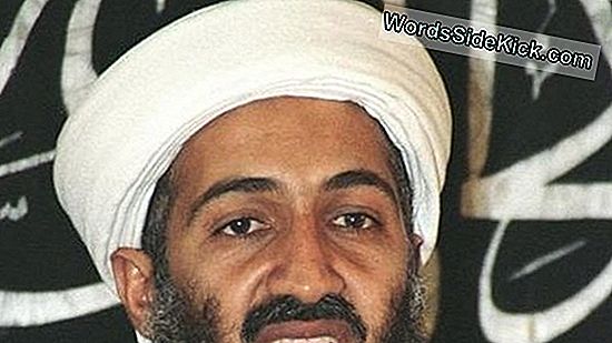 ¿Por Qué La Muerte De Bin Laden Unió A América Por Una Noche?