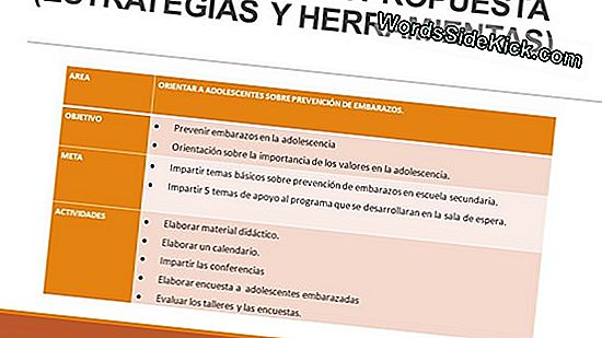 Programa De Computadora Ids Adolescentes En Riesgo De Enfermedad Mental