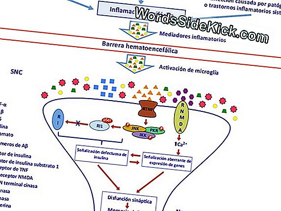 proteína y diabetes tipo 1