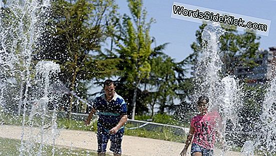 Las Muertes Por Ola De Calor Pueden Suceder Rápidamente, Sin Advertencias Obvias