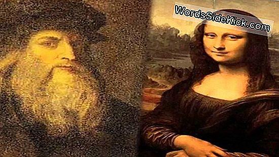 25 Secretos De Mona Lisa Revelados