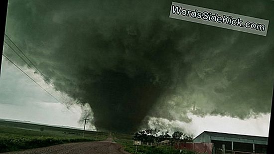 Hurricane Alley Se Calienta Con Un Trío Tormentoso