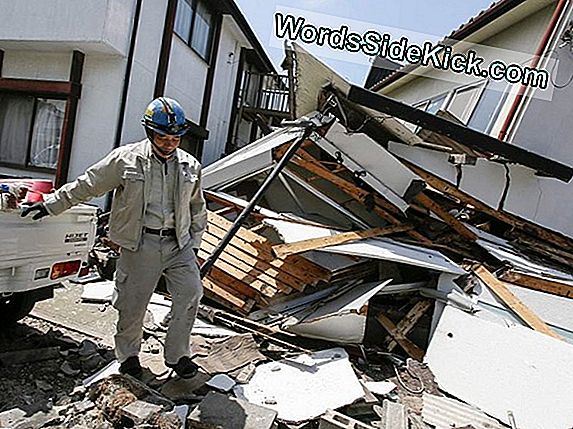 Terremoto De Japón Provocó Temblores Más Pequeños Alrededor Del Mundo