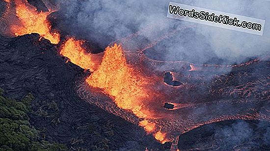 La Erupción Más Mortal Del Volcán Kilauea Revelada