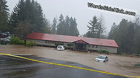 Magma Causando Aumento En Oregon