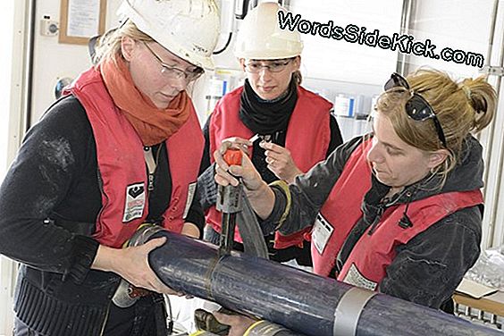 Los Microbios Prosperan En El Lugar Más Profundo De La Tierra