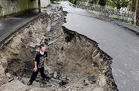 Nueva Zelanda Quake Ruptured 6 Fallas