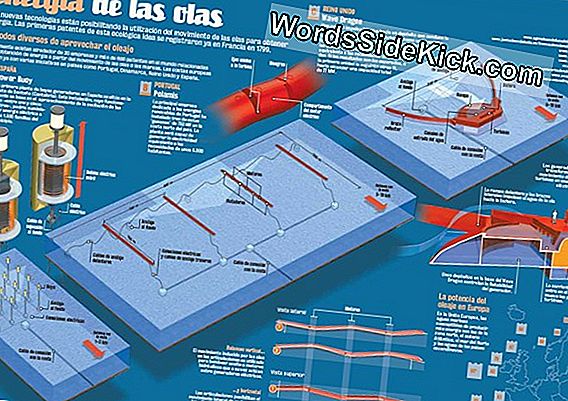 Energía Eólica Marina: ¿El Cambio De Mar Que Viene? (Op-Ed)