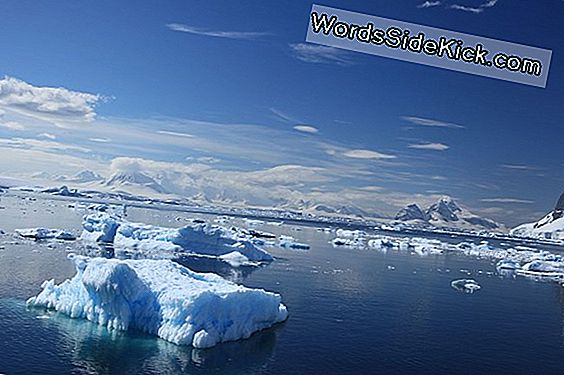 Temblores Bajo El Glaciar Antártico Vinculado A Las Mareas Oceánicas