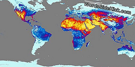 Las Olas De Calor Recientes Son Las Más Cálidas Desde 1500 En Europa