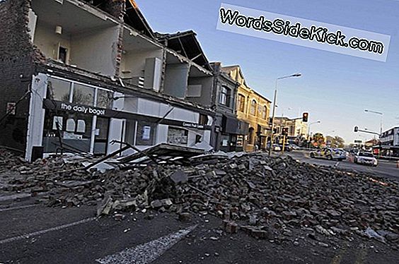 La Ciencia Detrás Del Terremoto De Nueva Zelanda