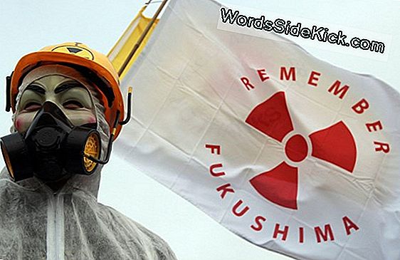 Cronología De Los Eventos En Los Reactores Nucleares De Fukushima En Japón