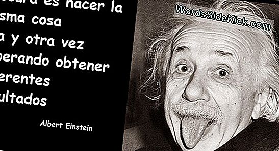 ¿Estamos Solos En El Universo? Nuevo Análisis Dice Que Tal Vez