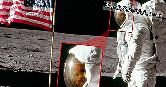¿Cómo Se Convirtió Neil Armstrong En El Primer Hombre En La Luna?