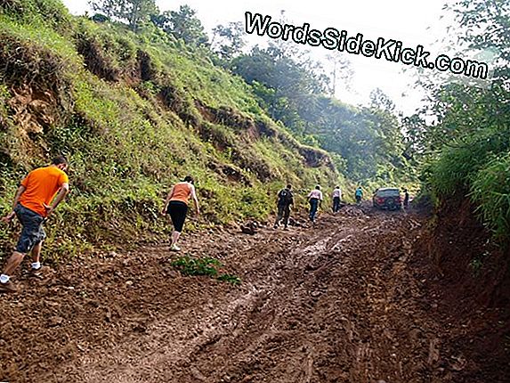 Cuando Llueve, ¿Debes Caminar O Correr?