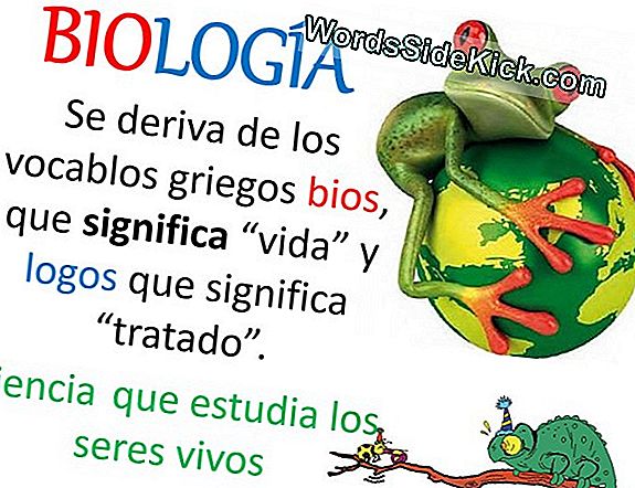 ¿Qué Es La Biología? - 2025 | Cultura