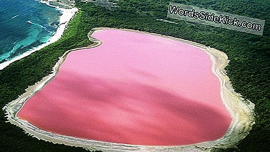 Code Pink: ¿Por Qué El Agua En Una Ciudad Canadiense Se Convirtió En Un Tono Rosado?