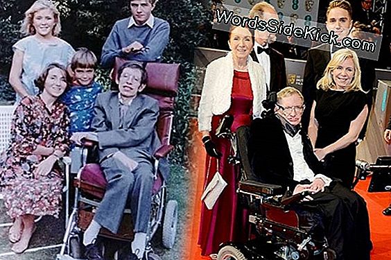 Nueva Biografía Gráfica De Stephen Hawking Para Revelar Al Científico Y Al  Hombre - 2020 | Cultura