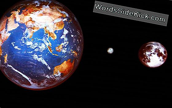 ¿Está La Tierra En Una Trayectoria De Colisión Con Un Asteroide Importante?