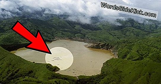 ¿Cómo Mató Repentinamente El Lago Nyos A 1.700 Personas? - 2024 ...