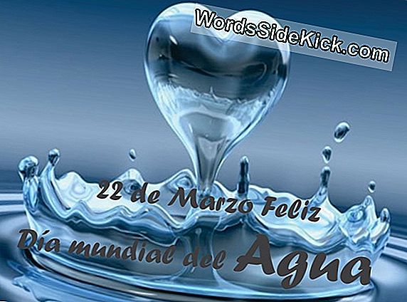 ¿Por Qué El Agua Es Vital Para La Vida?