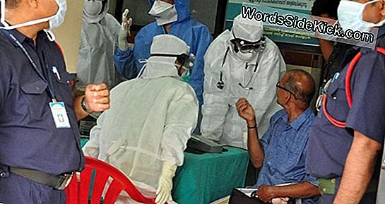 ¿Qué Es El Virus Nipah? Brote En India Mata Al Menos A 10