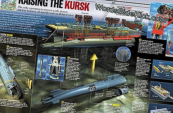 Compartimientos Ocultos En Este Submarino Confederado Destruido Podrían Resolver Un Misterio De 150 Años