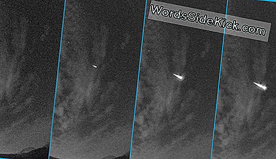 Aquí Está Cómo Ver La Lluvia De Meteoritos De Perseidas Este Fin De Semana