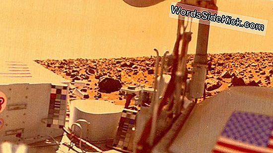 La Nasa Descubrió La Evidencia De Vida En Marte Hace 40 Años, Luego La Prendió Fuego