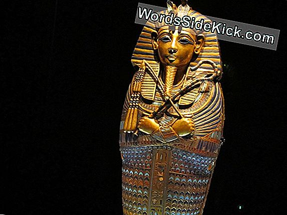 King Tuti Mumifitseeritud Peenis Peenis Võib Viidata Iidsele Usulisele Võitlusele
