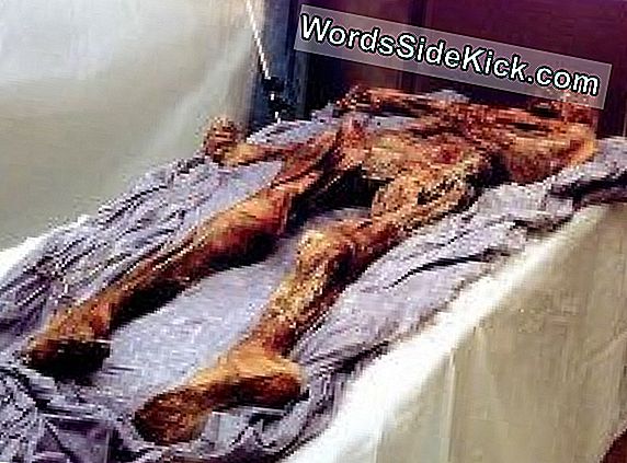 Ötzi L'Uomo Venuto Dal Ghiaccio È Stato Un Attacco Di Cuore In Attesa Di Accadere