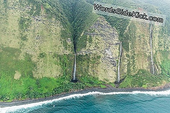 Hawaii Rannaröövide Süüdistamine Tõusvatele Meredele