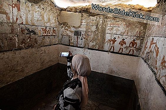 Ancient Priest'S Tomb Painting Avastas Giza Suur Püramiidi Lähedal