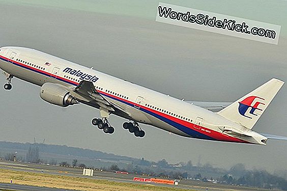 Flight 370: Kadunud Malaisia ​​Lennukibrake Leiti?