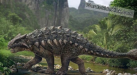Brachiosaurus: Faktid Kaelkirjaka-Sarnase Dinosauruse Kohta