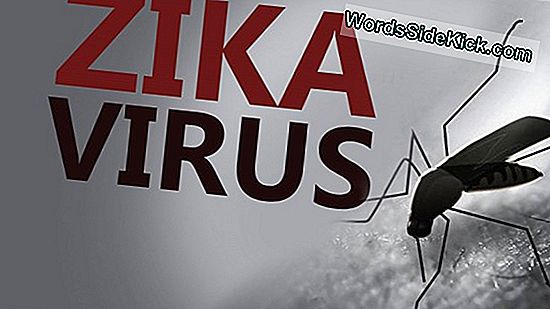 Zika Torjunta-Aineiden Kiistely: Onko 