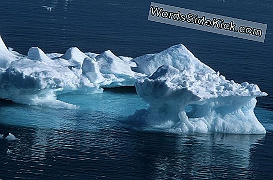 Arctic Sea Ice Melt Häiritsee Säämallia
