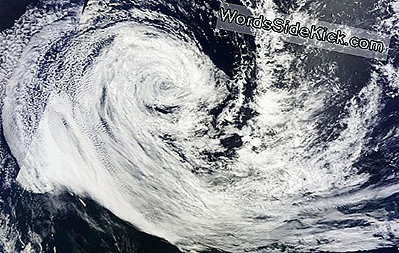 Tropical Cyclone Spotted Slamming India Ookeani Saared