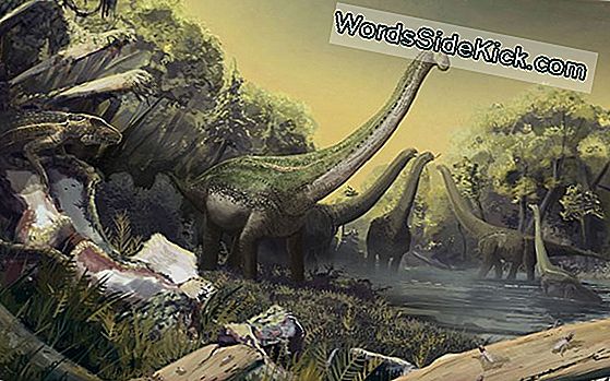 A Titanosaur Mõõk Killer-Whale Once Stomped Kogu Aafrikas