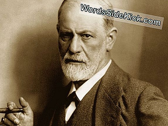 Sigmund Freud Kogumised Võiksid Hankida Oksjonil Rohkem Kui 100 000 Dollarit