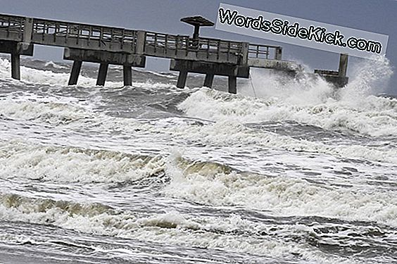 Irma Batters Florida, Pazartesi Aracılığıyla Kasırga Gücünü Koruyabilir