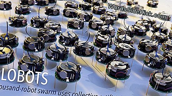 Robot Swarm! Nyc-Näyttely Käyttää Robotteja Opettamaan Matematiikkaa