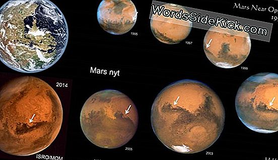 Marsin Alueet Marsissa Paljastettiin Nasa-Avaruusalusvalokuvissa