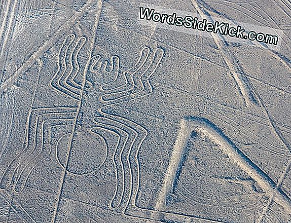 Kuvat: Mysterious Nazca Lines