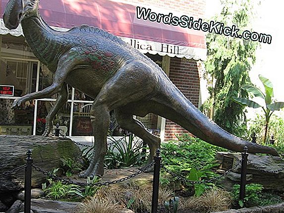 Ensimmäinen Espanjassa Löydetty Dinosaurus On Nuorempi Kuin Uskotaan