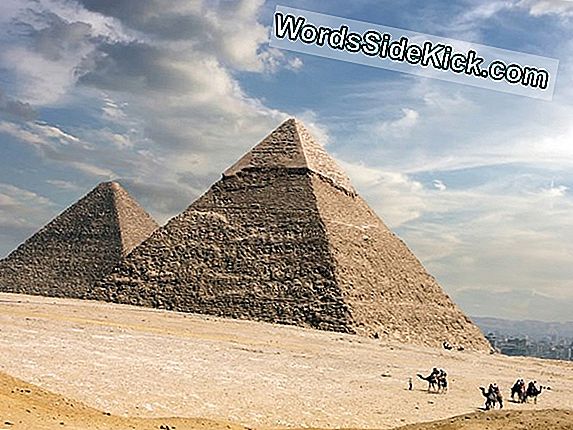 Treasure In Great Pyramid Odottaa Discovery, Egyptin 