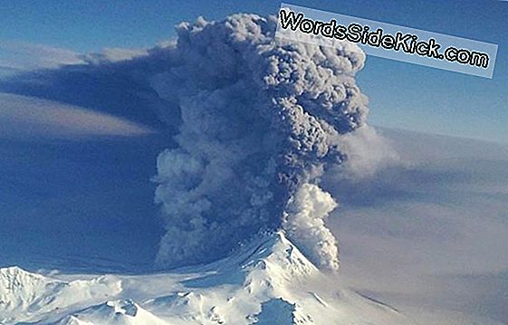 Alaska Volcano Eruption Yerel Uçuşları Tehdit Ediyor