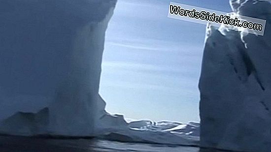 Grönlannin Jäätiköt Nopeutuvat