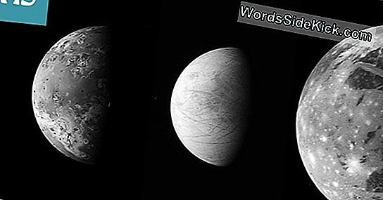 Voisiko Elämä Olla Jupiterin Icy Moon Europa: Ssa?