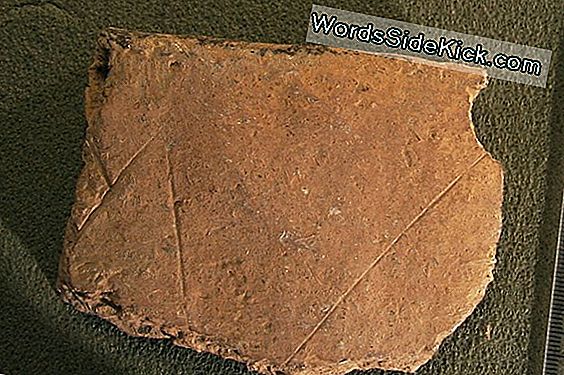 Varhainen Keskiaikainen Viljelykylä Unearthed Near Famed Viking Site